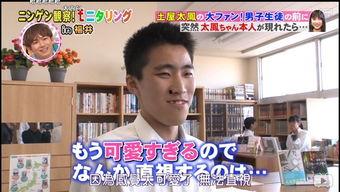 人间观察档案在线观看,揭秘真实社会现象的在线深度解析  第2张